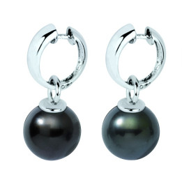 BO054