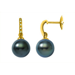 Gold earring + round Tahitian pearl
