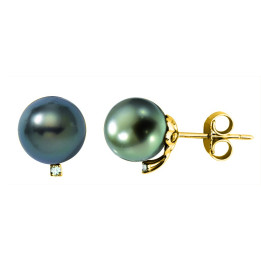 Boucle d'oreille or +  perle de tahiti ronde