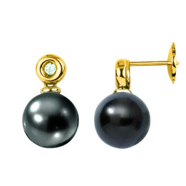 Gold earring + round Tahitian pearl