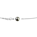 Silver omega cable + 1 round Tahitian pearl